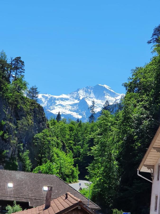 Swiss Mountains Apartment Interlaken